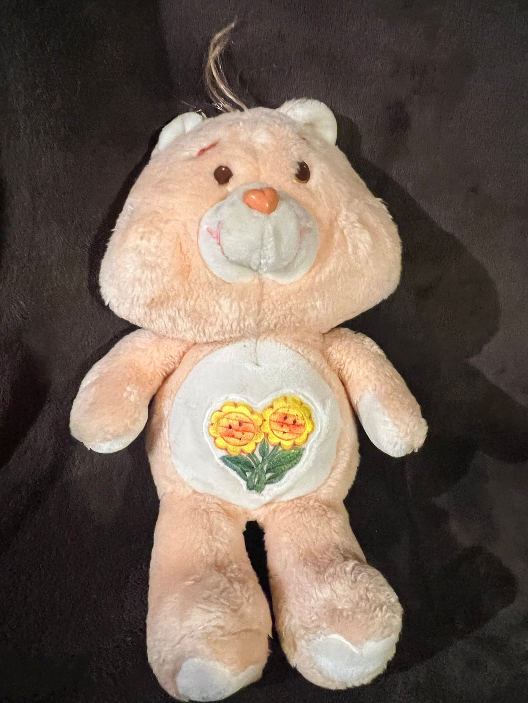 Care Bears Vintage Friends Teddy Bear