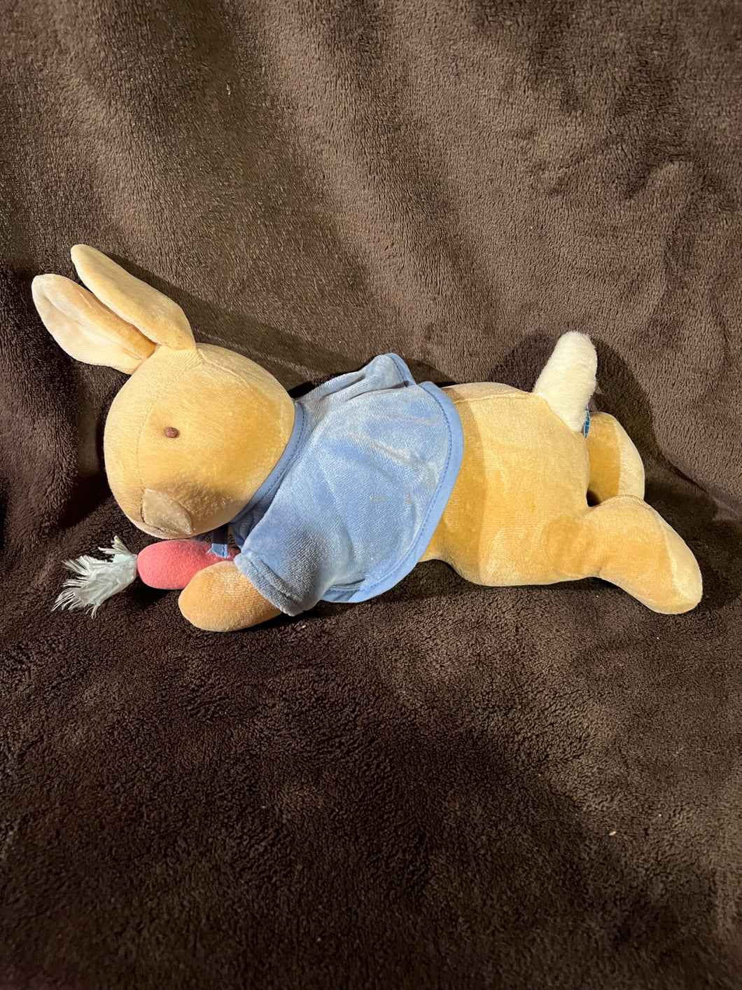 Eden Beatrix Peter Rabbit Musical Windup Plush